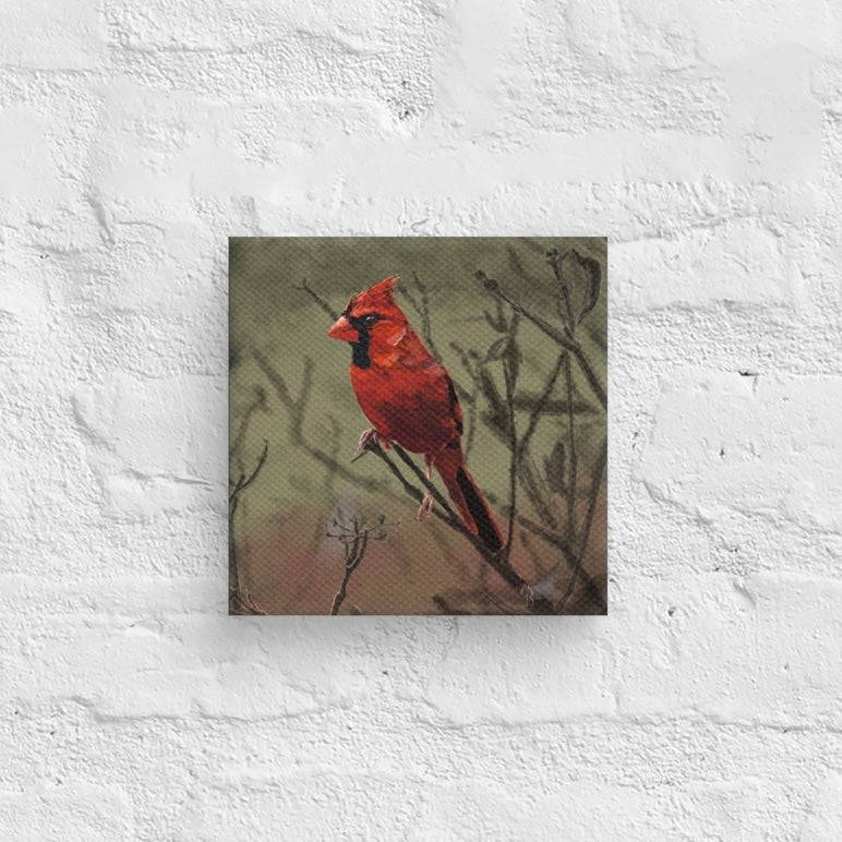 Red Cardinal – 6"x6" Canvas Print - Free Shipping - Jacqueline Baumgardt Art